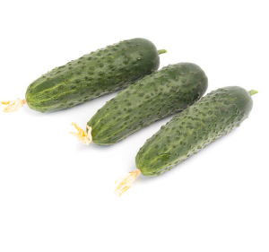 Cantara3