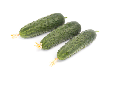 Cantara3