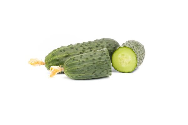 cantara