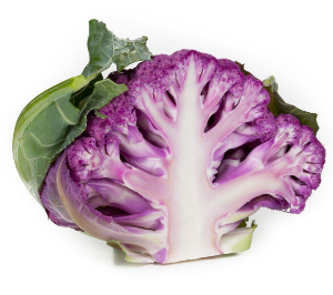 lavender2