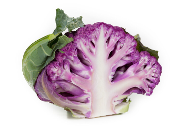lavender2