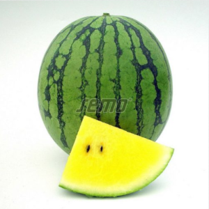 Arbuus PRIMAGOLD F1 100s