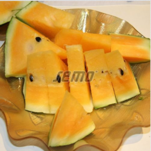 Arbuus PRIMAORANGE F1 100s