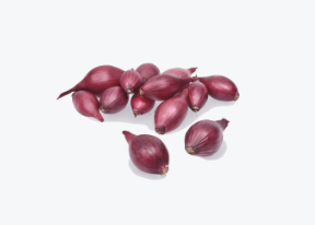 Tippsibul KARMEN 21/24 10kg