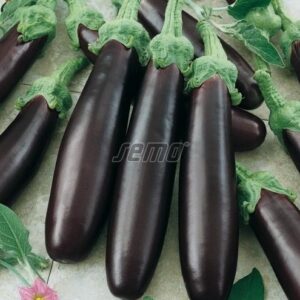 Baklažaan KLASIK 100g