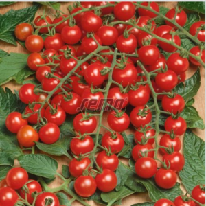 Kirsstomat MINI 250s