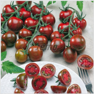 Kirsstomat TIGRINO 100s