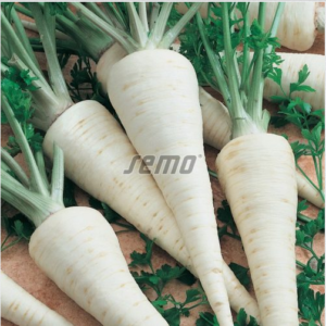 Juurpetersell ATIKA 400g