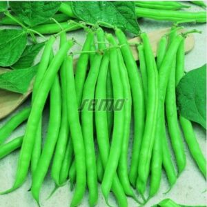 Aeduba/põõsasuba BONA 3kg