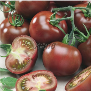 Tomat BRUNITO F1 100s