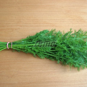 Aedtill / Anethum graveolens COMPACT 1 kg