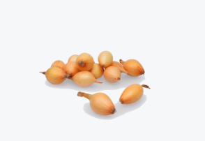 Tippsibul CONTADO 21/24 10kg