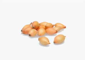 Tippsibul CUPIDO 21/24 25kg