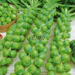 Rooskapsas DANET 2500tks