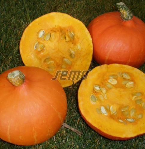 Kõrvits DELICIAN F1 250s