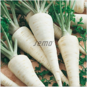 Juurpetersell EFEZ 300g