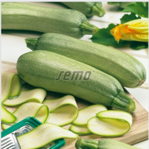 Suvikõrvits EMPEROL F1 500s