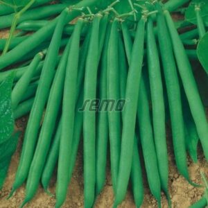 Põõsasuba GAMA 3kg