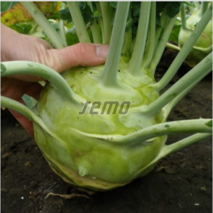 Nuikapsas GIGANT 10000tks