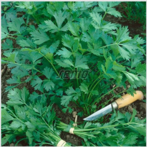 Petersell GIGANTE D'ITALIA 1kg