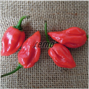 Terav paprika HABANERO RED 100s