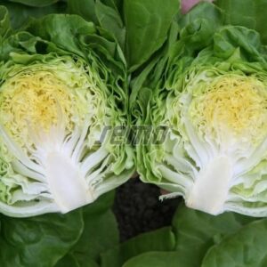 Võisalat KAMENEX 1000p