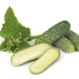 Lühike kurk KARAOKE RZ F1 100s