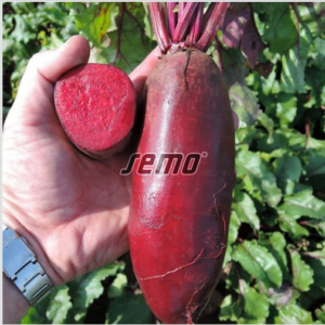 Punane peet KARKULKA 10000tks