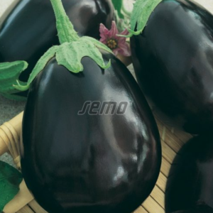 Baklazaan KRASAN 100g