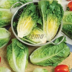 Roomasalat LITTLE GEM 100gr