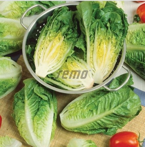 Roomasalat LITTLE GEM 100gr