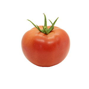 Tomat MANUSA F1 100s