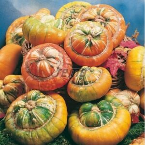 Dekoratiivkõrvits MINI TURBAN 20g