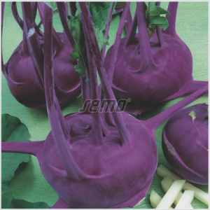 Nuikapsas MODRAVA F1 10000tks