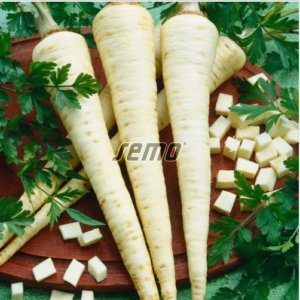 Juurpetersell OLOMOUCKA DLOUHA 100 000s