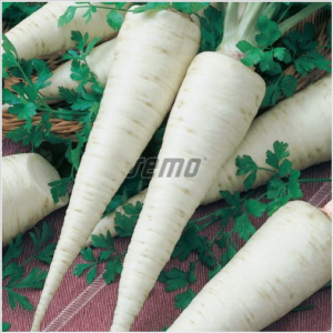 Juurpetersell ORBIS 400gr