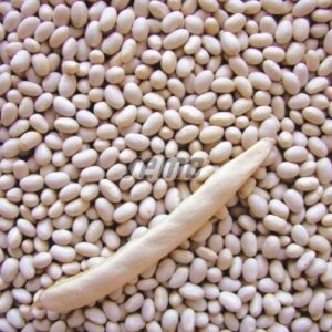 Põõsasuba PETRONILA 2kg