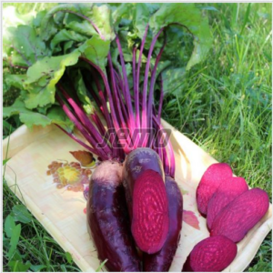 Punane peet RENOVA 1kg