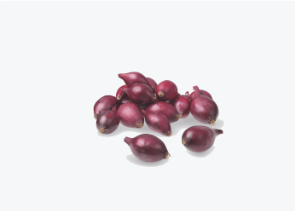 Tippsibul ROMY 14/21 10kg