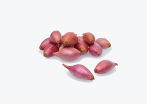 Tippsibul ROSANNA 21/24 25kg