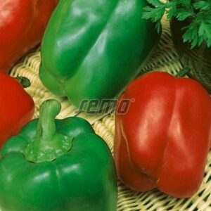 Magus paprika RUBIKA F1 100s