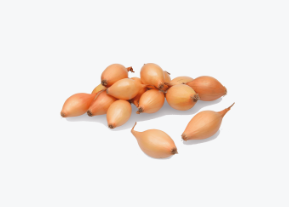 Tippsibul STURON 21/24 10kg