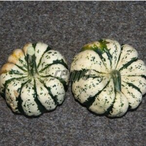 Dekoratiivkõrvits SWEET DUMPLING 20g