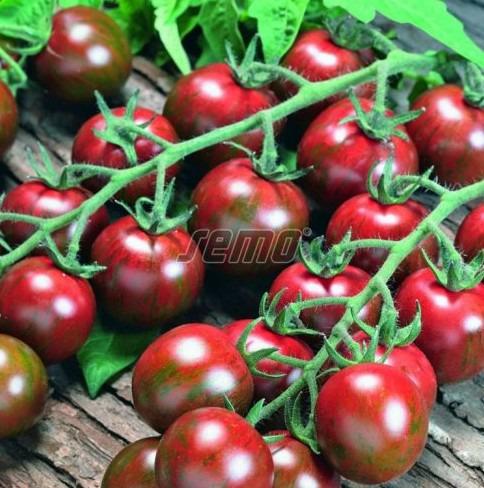 Kirsstomat TIGRINO 250s - Image 2