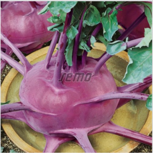 Nuikapsas VIOLETA 2500tks