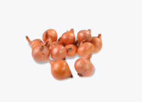 Šalottsibul YELLOW MOON 7/14 10kg